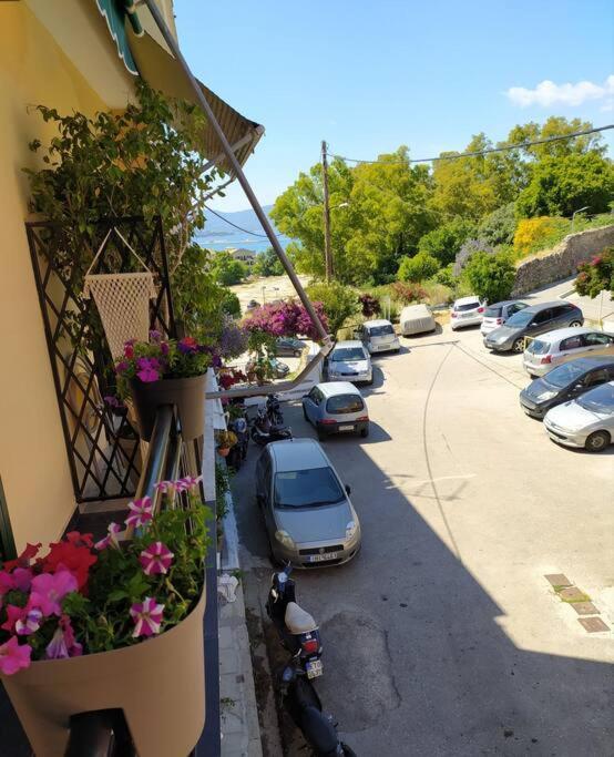 Xenofon'S Cozy Apartment Corfu (city) Exterior foto