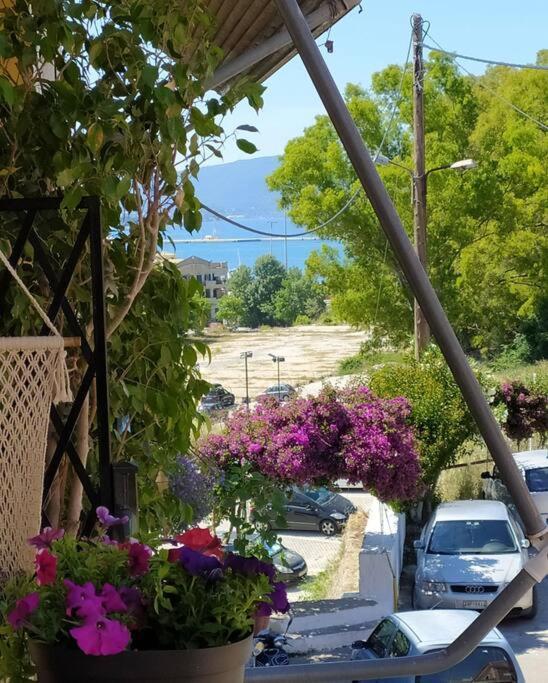 Xenofon'S Cozy Apartment Corfu (city) Exterior foto
